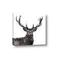 Picture of James, the Stag  _GroupedProduct_Square_Photography _GroupedProduct_Square_Canvas_