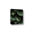 Picture of Jungle Leaves  _GroupedProduct_Rectangle_Portrait_Photography _GroupedProduct_Rectangle_Portrait_Canvas_