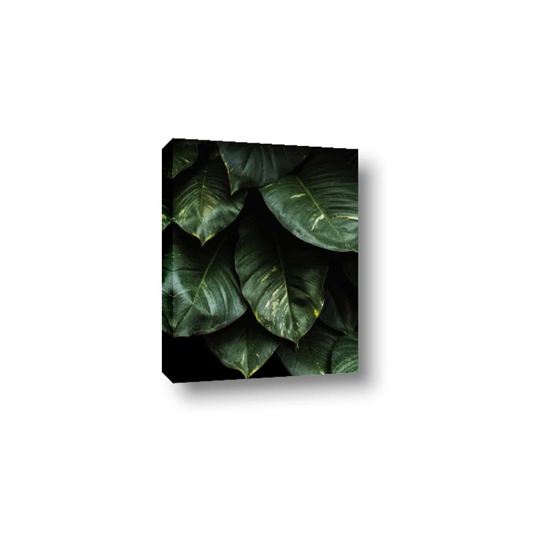Picture of Jungle Leaves  _GroupedProduct_Rectangle_Portrait_Photography _GroupedProduct_Rectangle_Portrait_Canvas_