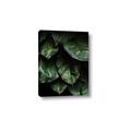 Picture of Jungle Leaves  _GroupedProduct_Rectangle_Portrait_Photography _GroupedProduct_Rectangle_Portrait_Canvas_