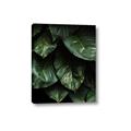 Picture of Jungle Leaves  _GroupedProduct_Rectangle_Portrait_Photography _GroupedProduct_Rectangle_Portrait_Canvas_
