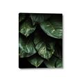 Picture of Jungle Leaves  _GroupedProduct_Rectangle_Portrait_Photography _GroupedProduct_Rectangle_Portrait_Canvas_