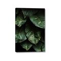 Picture of Jungle Leaves  _GroupedProduct_Rectangle_Portrait_Photography _GroupedProduct_Rectangle_Portrait_Canvas_