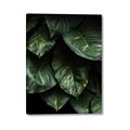 Picture of Jungle Leaves  _GroupedProduct_Rectangle_Portrait_Photography _GroupedProduct_Rectangle_Portrait_Canvas_