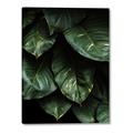 Picture of Jungle Leaves  _GroupedProduct_Rectangle_Portrait_Photography _GroupedProduct_Rectangle_Portrait_Canvas_