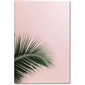 Picture of Leaves on Pink _GroupedProduct_Rectangle_Portrait_Photography _GroupedProduct_Rectangle_Portrait_Canvas_