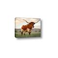 Picture of Life of a Bull _GroupedProduct_Rectangle_Landscape_Photography _GroupedProduct_Rectangle_Landscape_Canvas_