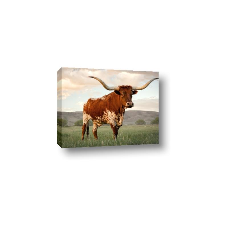 Picture of Life of a Bull _GroupedProduct_Rectangle_Landscape_Photography _GroupedProduct_Rectangle_Landscape_Canvas_