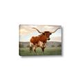 Picture of Life of a Bull _GroupedProduct_Rectangle_Landscape_Photography _GroupedProduct_Rectangle_Landscape_Canvas_