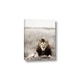 Picture of Lion Stare _GroupedProduct_Rectangle_Portrait_Photography _GroupedProduct_Rectangle_Portrait_Canvas_