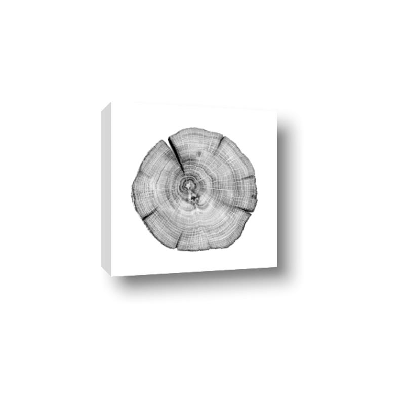 Picture of Logging In _GroupedProduct_Square_Photography _GroupedProduct_Square_Canvas_