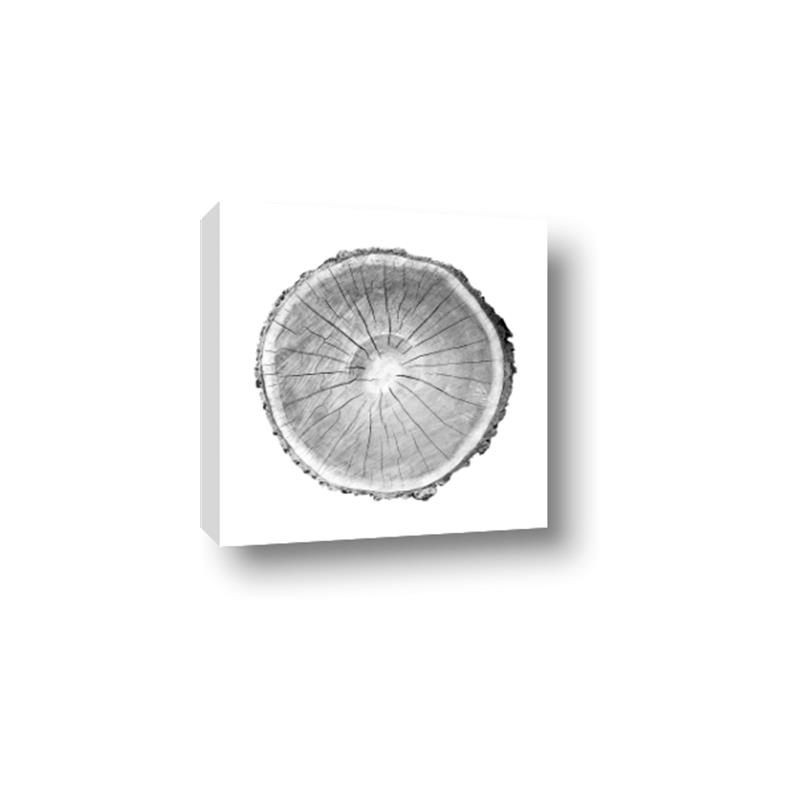 Picture of Logging In ll _GroupedProduct_Square_Photography _GroupedProduct_Square_Canvas_