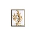 Picture of Dried Eucalyptus   _GroupedProduct_Rectangle_Portrait_Photography _GroupedProduct_Rectangle_Portrait_Canvas_Framed_