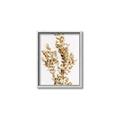 Picture of Dried Eucalyptus   _GroupedProduct_Rectangle_Portrait_Photography _GroupedProduct_Rectangle_Portrait_Canvas_Framed_