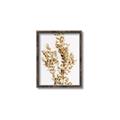 Picture of Dried Eucalyptus   _GroupedProduct_Rectangle_Portrait_Photography _GroupedProduct_Rectangle_Portrait_Canvas_Framed_
