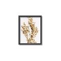 Picture of Dried Eucalyptus   _GroupedProduct_Rectangle_Portrait_Photography _GroupedProduct_Rectangle_Portrait_Canvas_Framed_