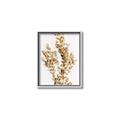 Picture of Dried Eucalyptus   _GroupedProduct_Rectangle_Portrait_Photography _GroupedProduct_Rectangle_Portrait_Canvas_Framed_