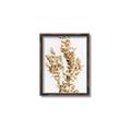 Picture of Dried Eucalyptus   _GroupedProduct_Rectangle_Portrait_Photography _GroupedProduct_Rectangle_Portrait_Canvas_Framed_