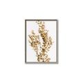 Picture of Dried Eucalyptus   _GroupedProduct_Rectangle_Portrait_Photography _GroupedProduct_Rectangle_Portrait_Canvas_Framed_