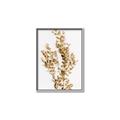 Picture of Dried Eucalyptus   _GroupedProduct_Rectangle_Portrait_Photography _GroupedProduct_Rectangle_Portrait_Canvas_Framed_