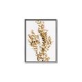 Picture of Dried Eucalyptus   _GroupedProduct_Rectangle_Portrait_Photography _GroupedProduct_Rectangle_Portrait_Canvas_Framed_