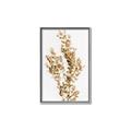 Picture of Dried Eucalyptus   _GroupedProduct_Rectangle_Portrait_Photography _GroupedProduct_Rectangle_Portrait_Canvas_Framed_