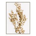 Picture of Dried Eucalyptus   _GroupedProduct_Rectangle_Portrait_Photography _GroupedProduct_Rectangle_Portrait_Canvas_Framed_