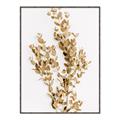 Picture of Dried Eucalyptus   _GroupedProduct_Rectangle_Portrait_Photography _GroupedProduct_Rectangle_Portrait_Canvas_Framed_