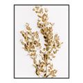 Picture of Dried Eucalyptus   _GroupedProduct_Rectangle_Portrait_Photography _GroupedProduct_Rectangle_Portrait_Canvas_Framed_