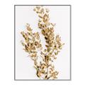 Picture of Dried Eucalyptus   _GroupedProduct_Rectangle_Portrait_Photography _GroupedProduct_Rectangle_Portrait_Canvas_Framed_