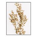 Picture of Dried Eucalyptus   _GroupedProduct_Rectangle_Portrait_Photography _GroupedProduct_Rectangle_Portrait_Canvas_Framed_