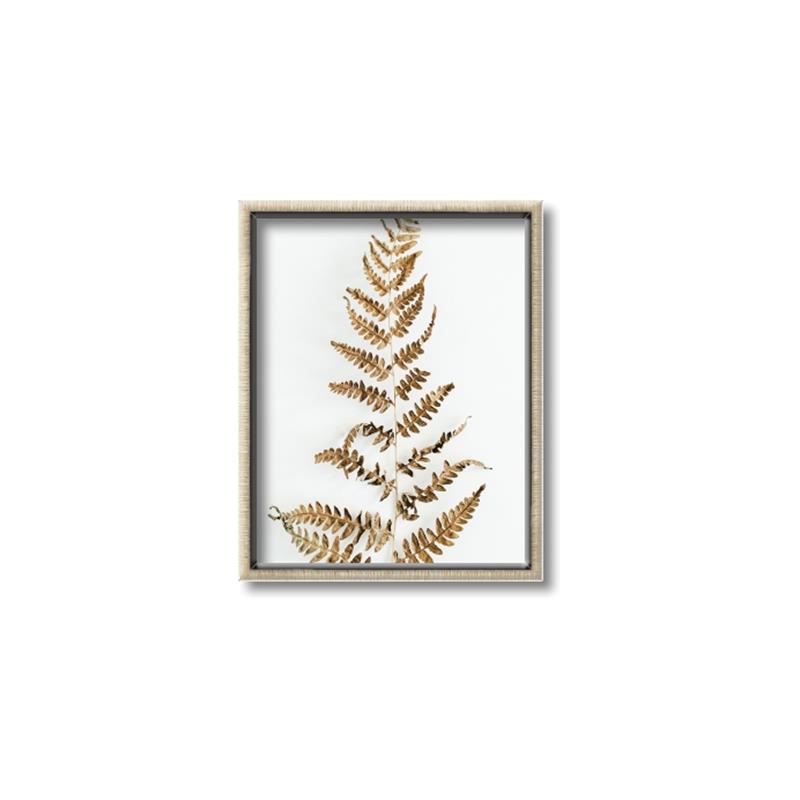 Picture of Dried Fern Leaf  _GroupedProduct_Rectangle_Portrait_Photography _GroupedProduct_Rectangle_Portrait_Canvas_Framed_