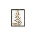 Picture of Dried Fern Leaf  _GroupedProduct_Rectangle_Portrait_Photography _GroupedProduct_Rectangle_Portrait_Canvas_Framed_