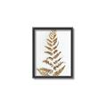 Picture of Dried Fern Leaf  _GroupedProduct_Rectangle_Portrait_Photography _GroupedProduct_Rectangle_Portrait_Canvas_Framed_
