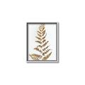 Picture of Dried Fern Leaf  _GroupedProduct_Rectangle_Portrait_Photography _GroupedProduct_Rectangle_Portrait_Canvas_Framed_