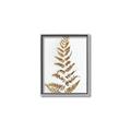 Picture of Dried Fern Leaf  _GroupedProduct_Rectangle_Portrait_Photography _GroupedProduct_Rectangle_Portrait_Canvas_Framed_