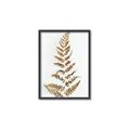 Picture of Dried Fern Leaf  _GroupedProduct_Rectangle_Portrait_Photography _GroupedProduct_Rectangle_Portrait_Canvas_Framed_