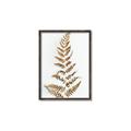Picture of Dried Fern Leaf  _GroupedProduct_Rectangle_Portrait_Photography _GroupedProduct_Rectangle_Portrait_Canvas_Framed_