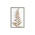 Picture of Dried Fern Leaf  _GroupedProduct_Rectangle_Portrait_Photography _GroupedProduct_Rectangle_Portrait_Canvas_Framed_
