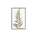 Picture of Dried Fern Leaf  _GroupedProduct_Rectangle_Portrait_Photography _GroupedProduct_Rectangle_Portrait_Canvas_Framed_