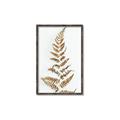 Picture of Dried Fern Leaf  _GroupedProduct_Rectangle_Portrait_Photography _GroupedProduct_Rectangle_Portrait_Canvas_Framed_
