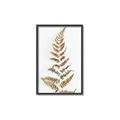 Picture of Dried Fern Leaf  _GroupedProduct_Rectangle_Portrait_Photography _GroupedProduct_Rectangle_Portrait_Canvas_Framed_