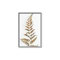 Picture of Dried Fern Leaf  _GroupedProduct_Rectangle_Portrait_Photography _GroupedProduct_Rectangle_Portrait_Canvas_Framed_