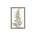 Picture of Dried Fern Leaf  _GroupedProduct_Rectangle_Portrait_Photography _GroupedProduct_Rectangle_Portrait_Canvas_Framed_