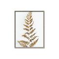 Picture of Dried Fern Leaf  _GroupedProduct_Rectangle_Portrait_Photography _GroupedProduct_Rectangle_Portrait_Canvas_Framed_