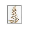 Picture of Dried Fern Leaf  _GroupedProduct_Rectangle_Portrait_Photography _GroupedProduct_Rectangle_Portrait_Canvas_Framed_