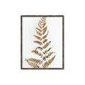 Picture of Dried Fern Leaf  _GroupedProduct_Rectangle_Portrait_Photography _GroupedProduct_Rectangle_Portrait_Canvas_Framed_