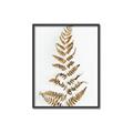 Picture of Dried Fern Leaf  _GroupedProduct_Rectangle_Portrait_Photography _GroupedProduct_Rectangle_Portrait_Canvas_Framed_