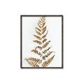 Picture of Dried Fern Leaf  _GroupedProduct_Rectangle_Portrait_Photography _GroupedProduct_Rectangle_Portrait_Canvas_Framed_