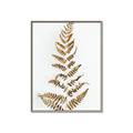 Picture of Dried Fern Leaf  _GroupedProduct_Rectangle_Portrait_Photography _GroupedProduct_Rectangle_Portrait_Canvas_Framed_